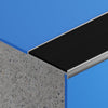 VisioEdge 201 - Rebated Aluminium with Rubber Insert