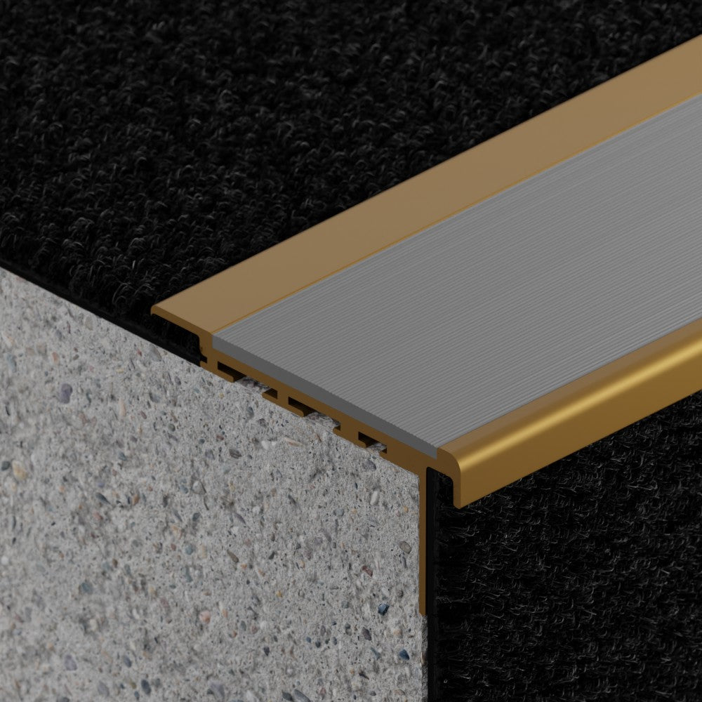 VisioEdge 210 - Standard Carpet Aluminium with Rubber Insert